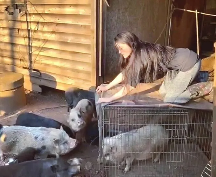 Woman Takes In Neglected Animals No One Wants, No Matter Their Species, And Has Already Saved Nearly 200