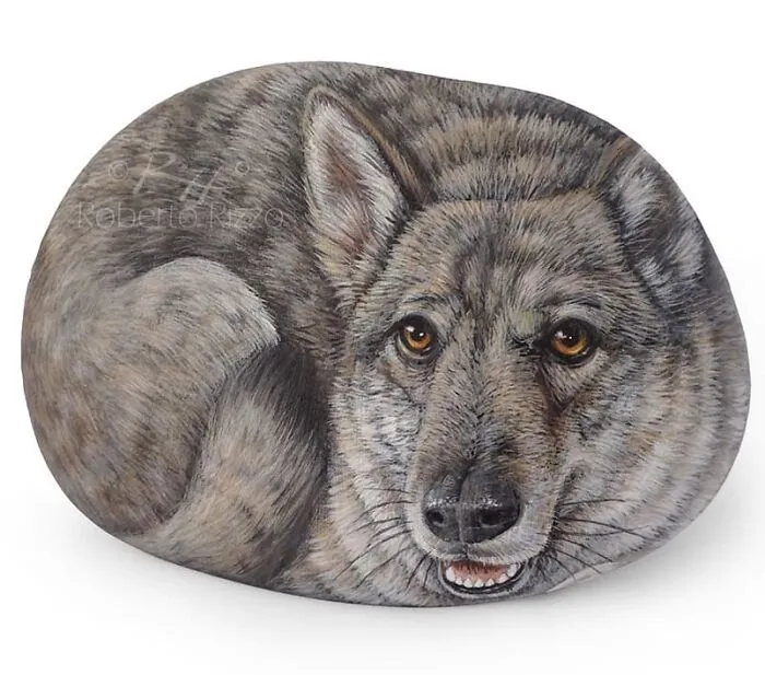 Artist Turns Rocks Into Incredible Animal Paintings (30 Pics)