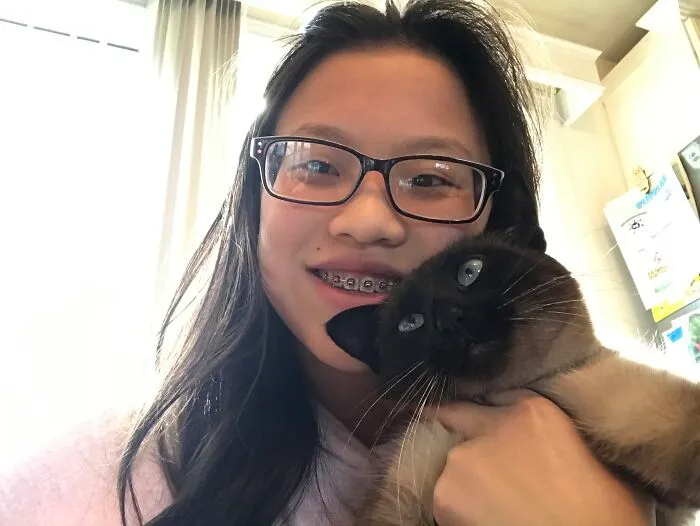 My Cat Looks So Mad