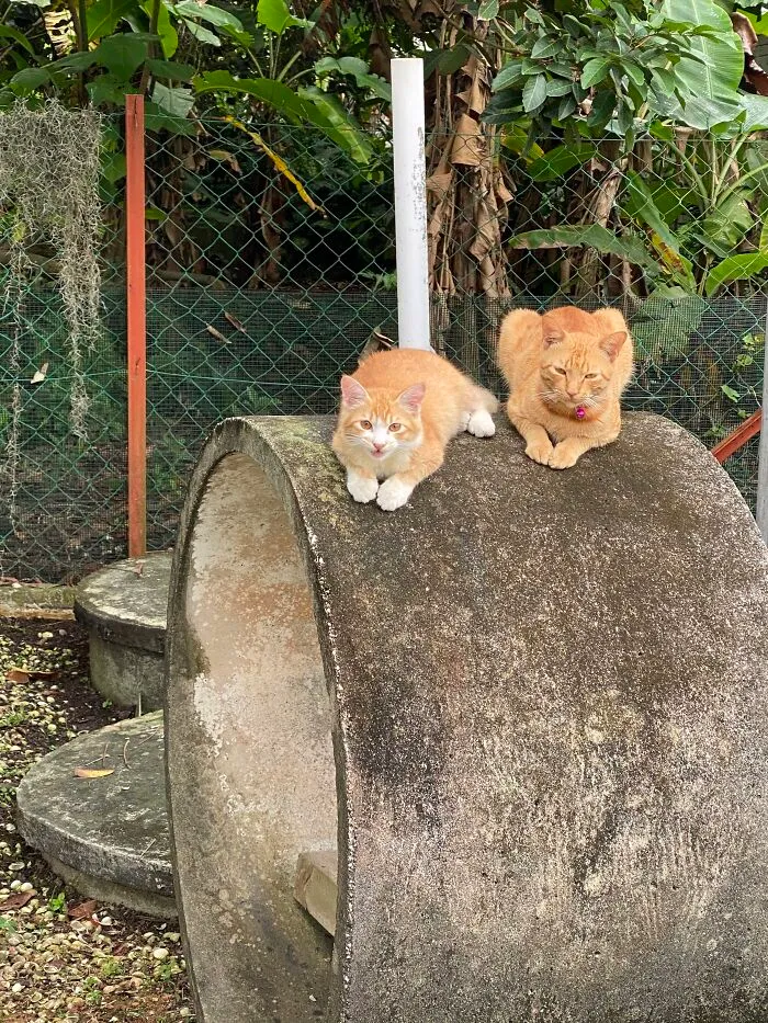 Father And Son