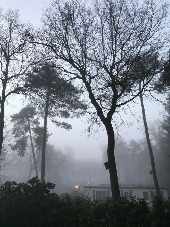 Hoenderloo This Morning The Netherlands