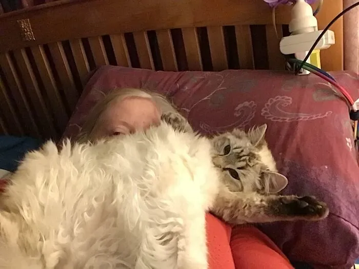 Nermal The Cuddleslut.