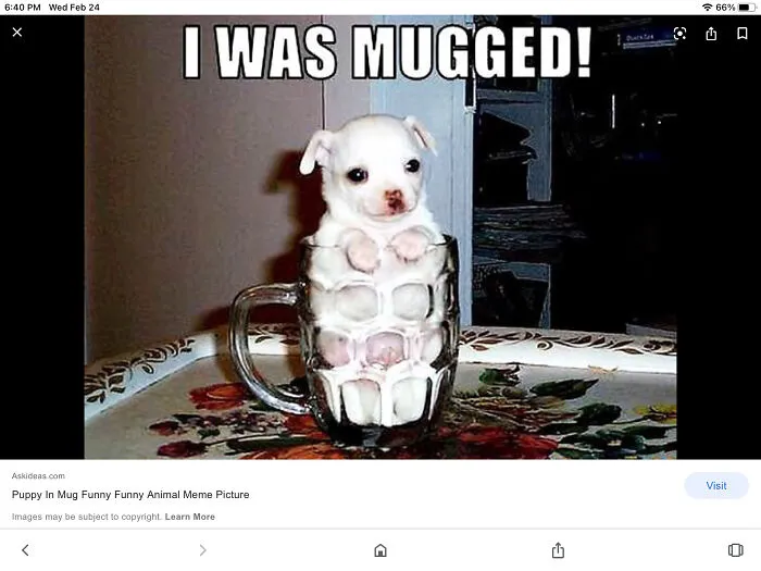🤣