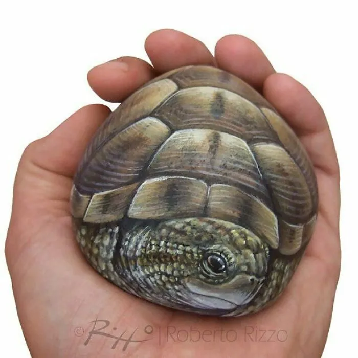 Artist Turns Rocks Into Incredible Animal Paintings (30 Pics)