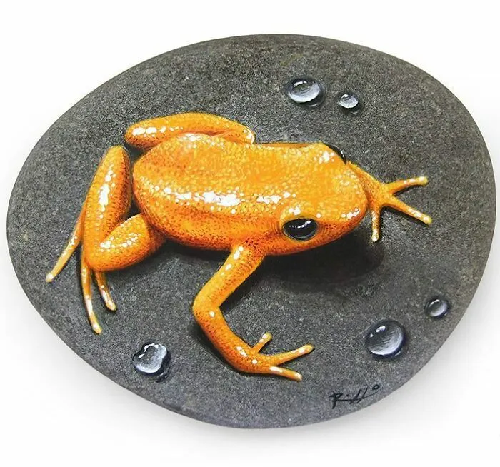 Artist Turns Rocks Into Incredible Animal Paintings (30 Pics)
