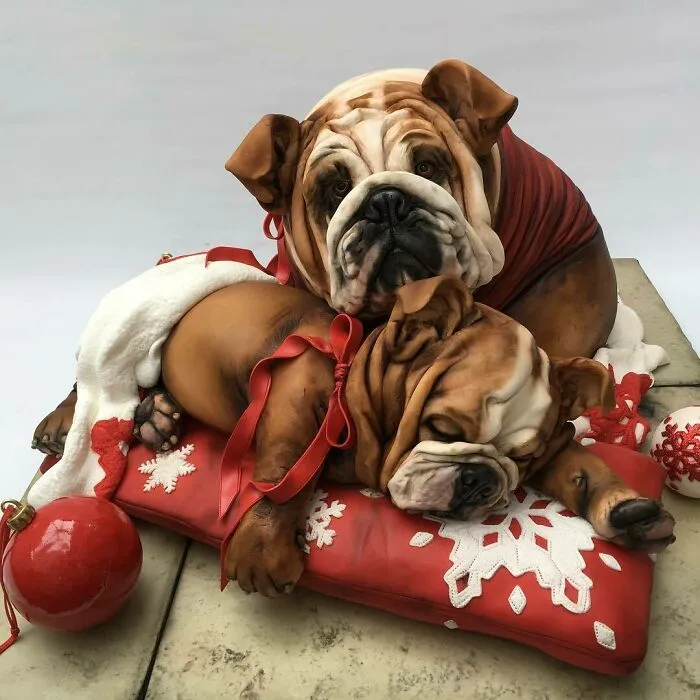 30 Beautiful And Realistic Cakes By This UK-Based Baker