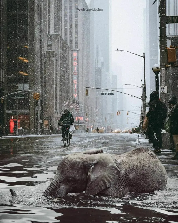 131 Surreal Photo Manipulations That Challenge Logic By Hansruedi Ramsauer