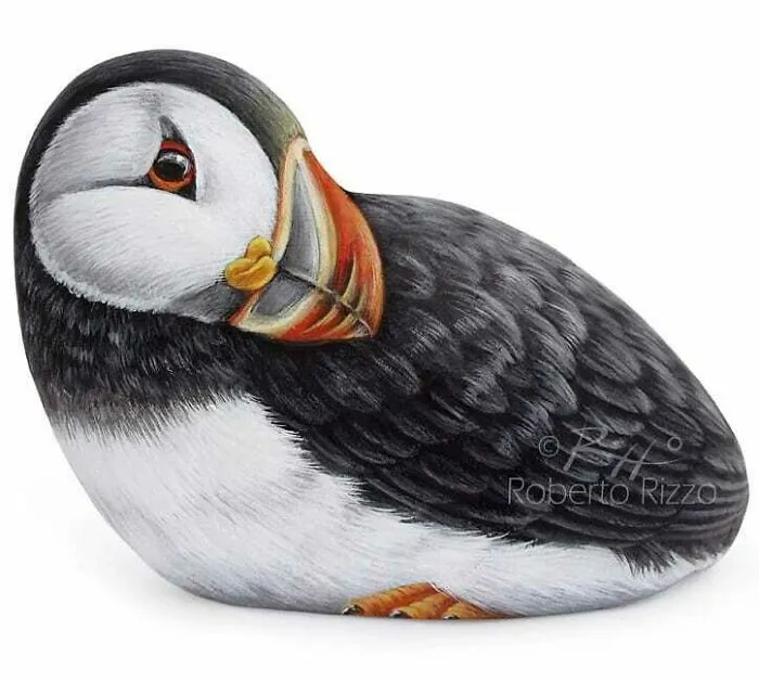 Artist Turns Rocks Into Incredible Animal Paintings (30 Pics)
