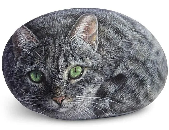 Artist Turns Rocks Into Incredible Animal Paintings (30 Pics)