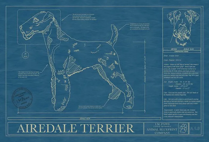 Airedale Terrier Blueprint Art