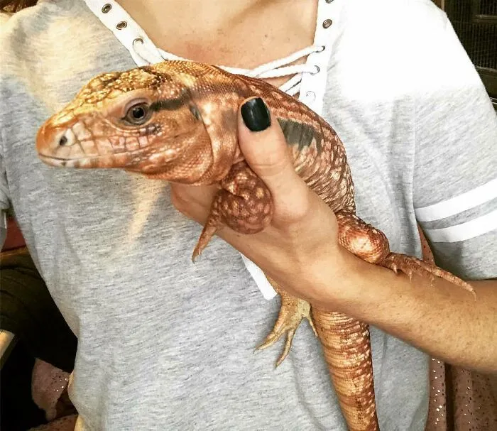 Woman Takes In Neglected Animals No One Wants, No Matter Their Species, And Has Already Saved Nearly 200