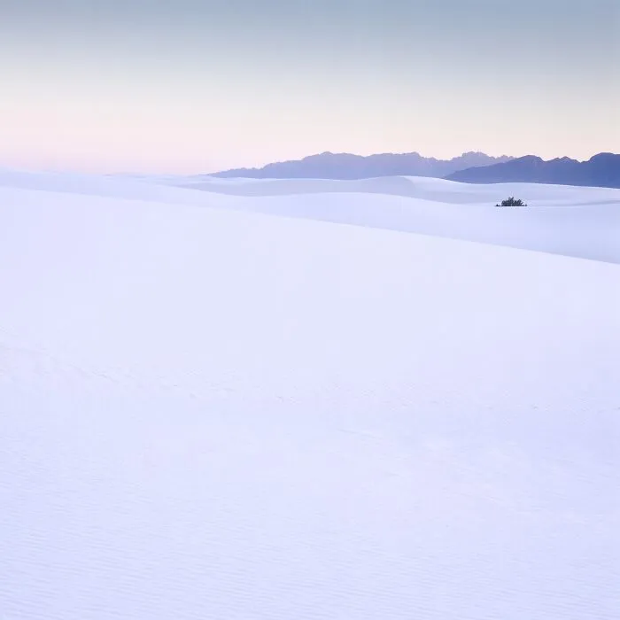 White Sands (2nd Place / Analog / Film / Landscape)