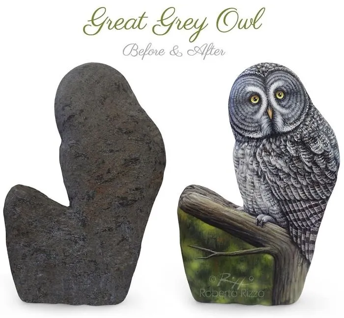 Artist Turns Rocks Into Incredible Animal Paintings (30 Pics)