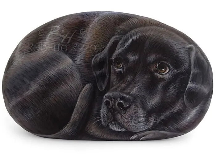 Artist Turns Rocks Into Incredible Animal Paintings (30 Pics)
