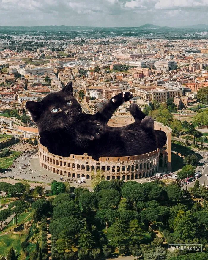 This Artist Uses Photoshop To Create Surreal Giant Cat Landscapes, Here Are His Best 30 Edits