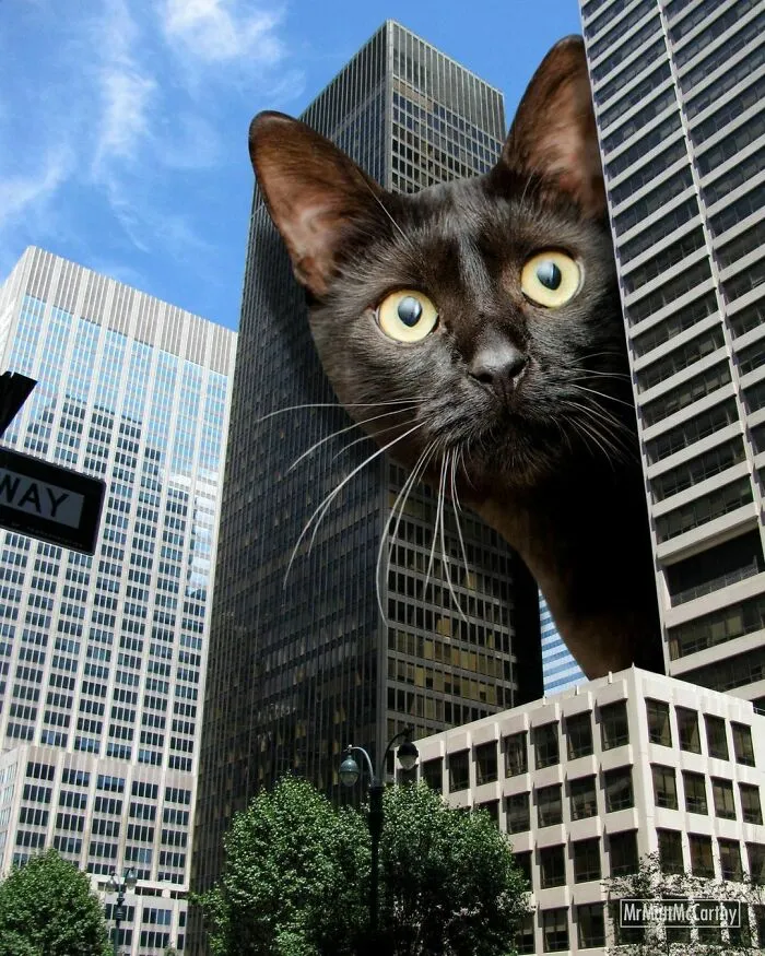 This Artist Uses Photoshop To Create Surreal Giant Cat Landscapes, Here Are His Best 30 Edits