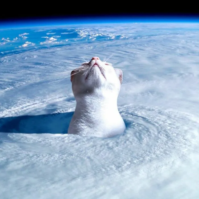 This Artist Uses Photoshop To Create Surreal Giant Cat Landscapes, Here Are His Best 30 Edits