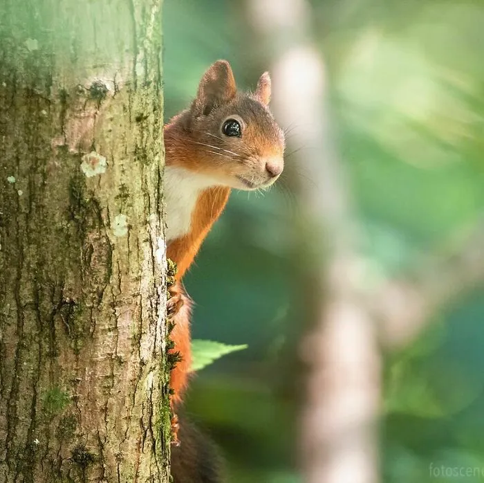 Hello, Is It Me You're Looking For?
