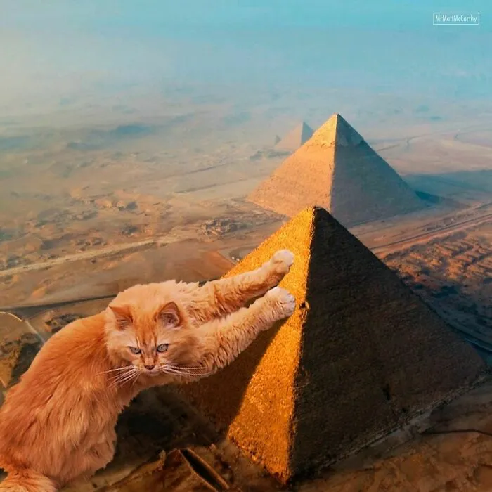 This Artist Uses Photoshop To Create Surreal Giant Cat Landscapes, Here Are His Best 30 Edits