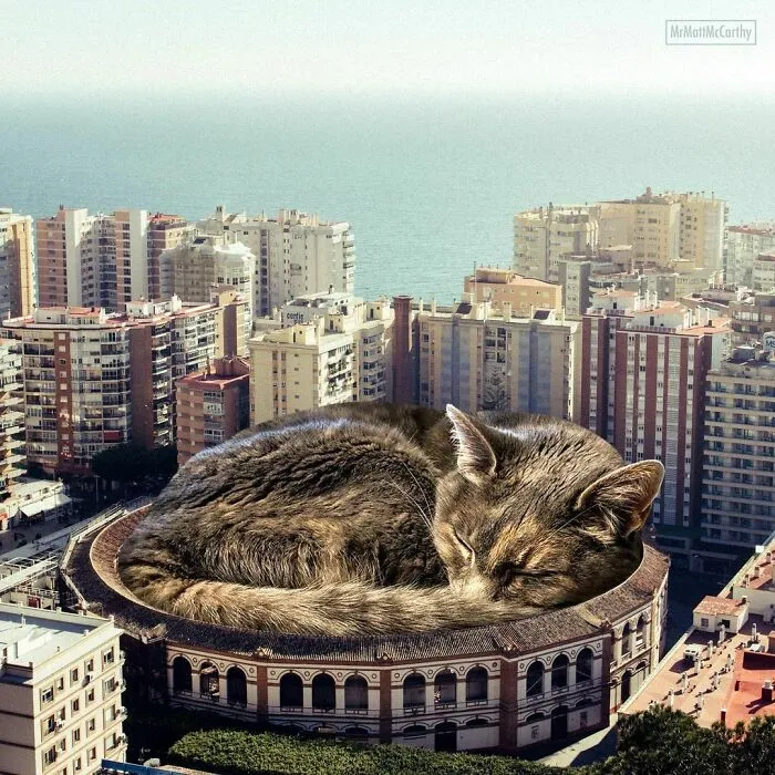 This Artist Uses Photoshop To Create Surreal Giant Cat Landscapes, Here Are His Best 30 Edits