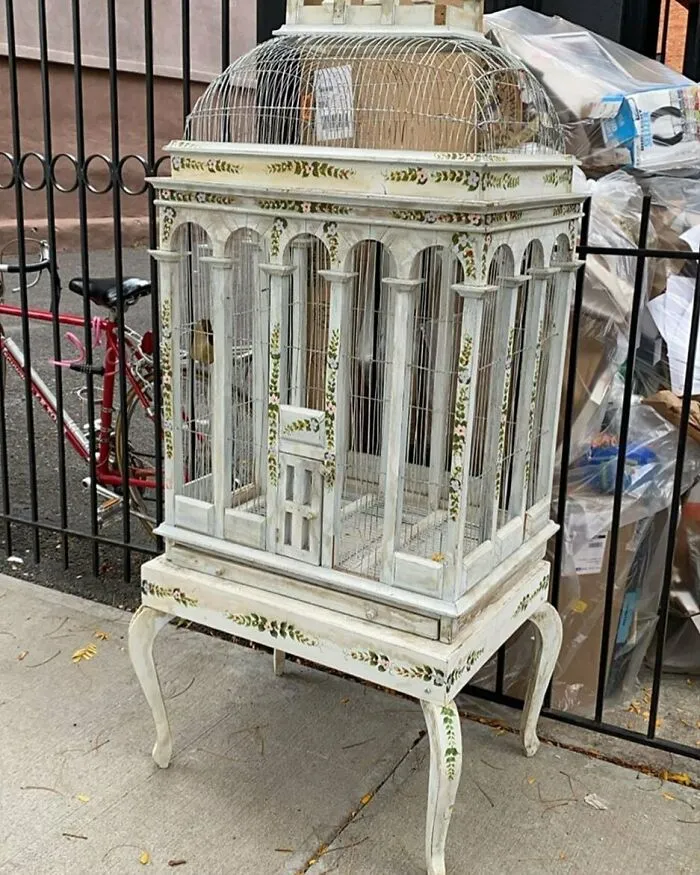 *Googles What Decor Items Go Best In An Oversized Bird Cage* North Henry And Richardson 