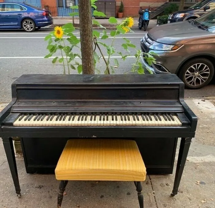 Escucha, no pedimos mucho... Pero tenemos una pregunta. Antes de recoger este hermoso piano, ¿podemos escuchar una o dos canciones? Las tocaremos aquí. ¡Avenida Carlton entre Myrtle y Willoughby!