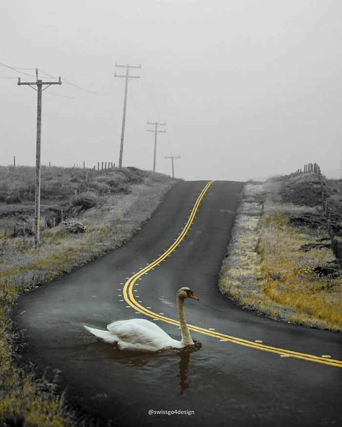 131 Surreal Photo Manipulations That Challenge Logic By Hansruedi Ramsauer