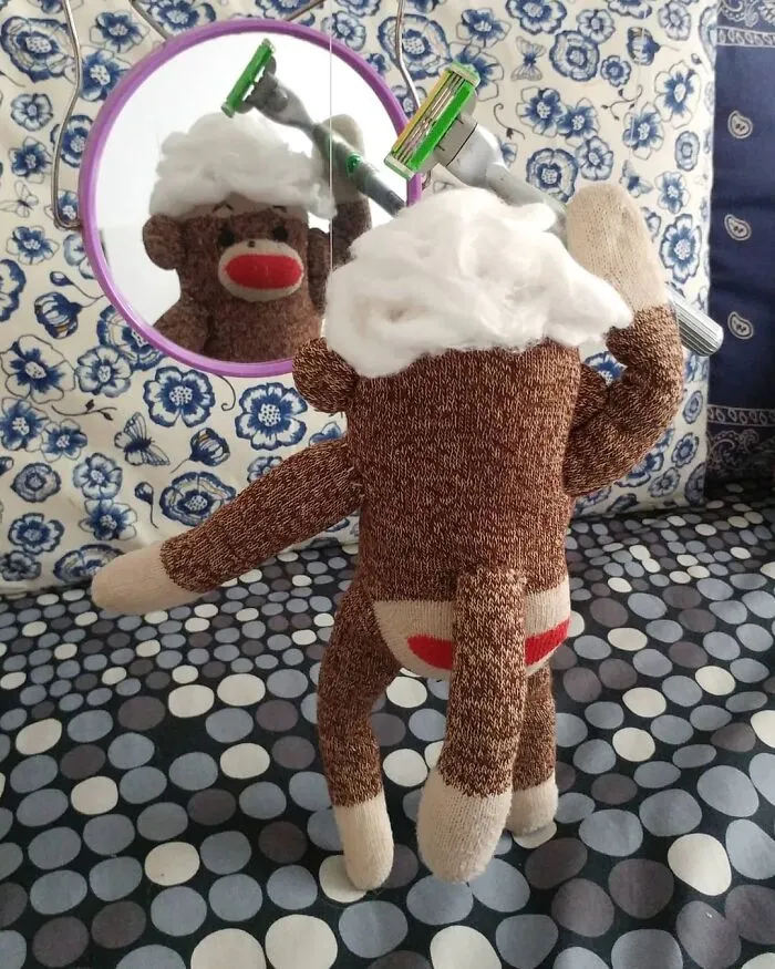 I’ve Made My Wife Laugh Every Day Of The Pandemic With Daily Sock Monkey Shows And I Hope They Make You Smile Too (65 Pics)