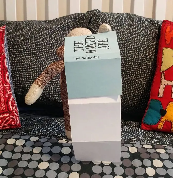 I’ve Made My Wife Laugh Every Day Of The Pandemic With Daily Sock Monkey Shows And I Hope They Make You Smile Too (65 Pics)