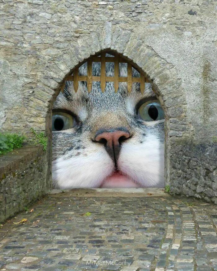 This Artist Uses Photoshop To Create Surreal Giant Cat Landscapes, Here Are His Best 30 Edits