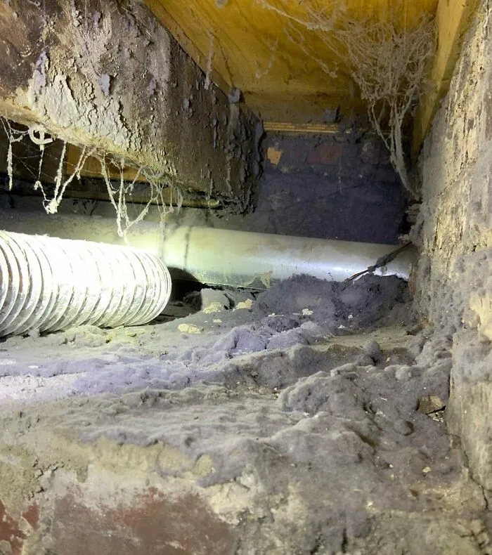 Found The Dryer Vent!