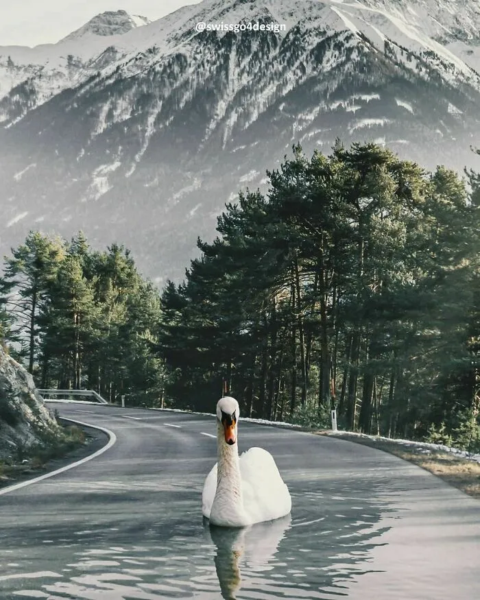 131 Surreal Photo Manipulations That Challenge Logic By Hansruedi Ramsauer