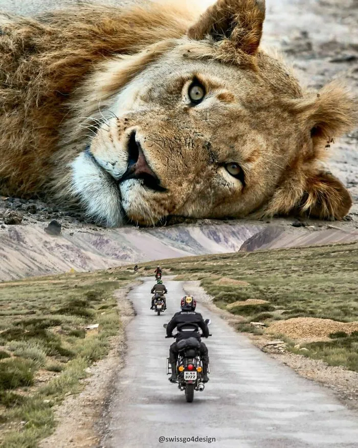 131 Surreal Photo Manipulations That Challenge Logic By Hansruedi Ramsauer
