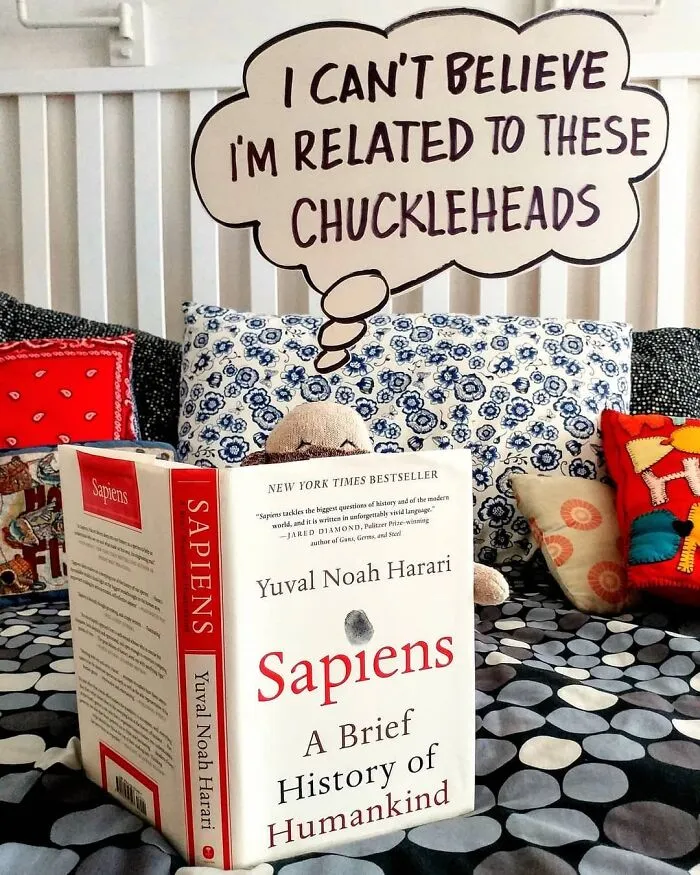 I’ve Made My Wife Laugh Every Day Of The Pandemic With Daily Sock Monkey Shows And I Hope They Make You Smile Too (65 Pics)