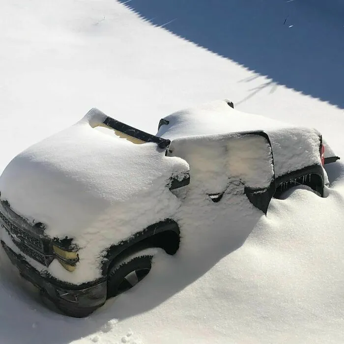 What In The East Coast Nonsense Is This Texas?!?! Who Do I Need To Write About This Snowy Situation I Am Not Pleased! This Is My Backyard And I Have Questions!