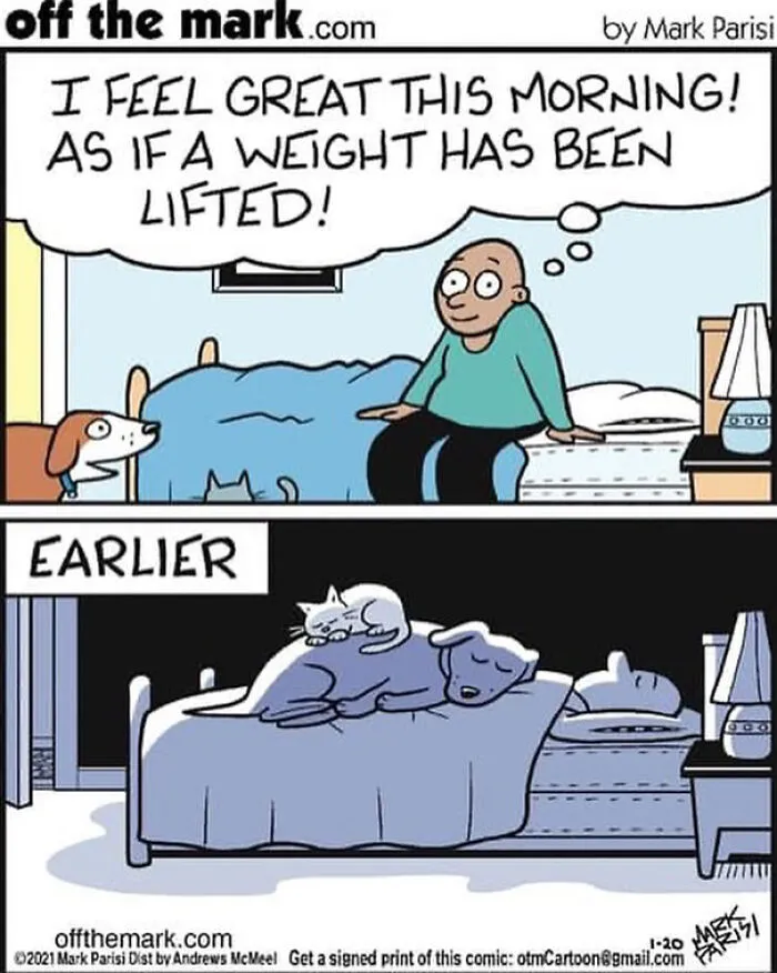 These Comics By A Legendary Cartoonist Might Make Your Day (50 Pics)