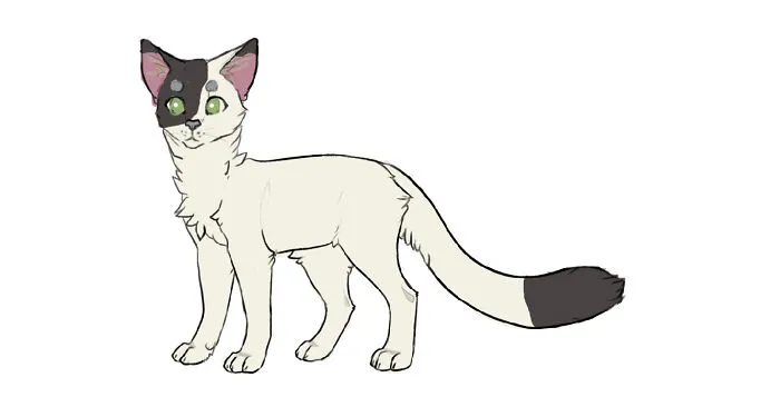 My Outdoor Furball, Cloudy. His Breed Is Unknown.