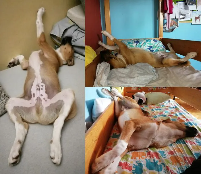 He Must Be Comfortable