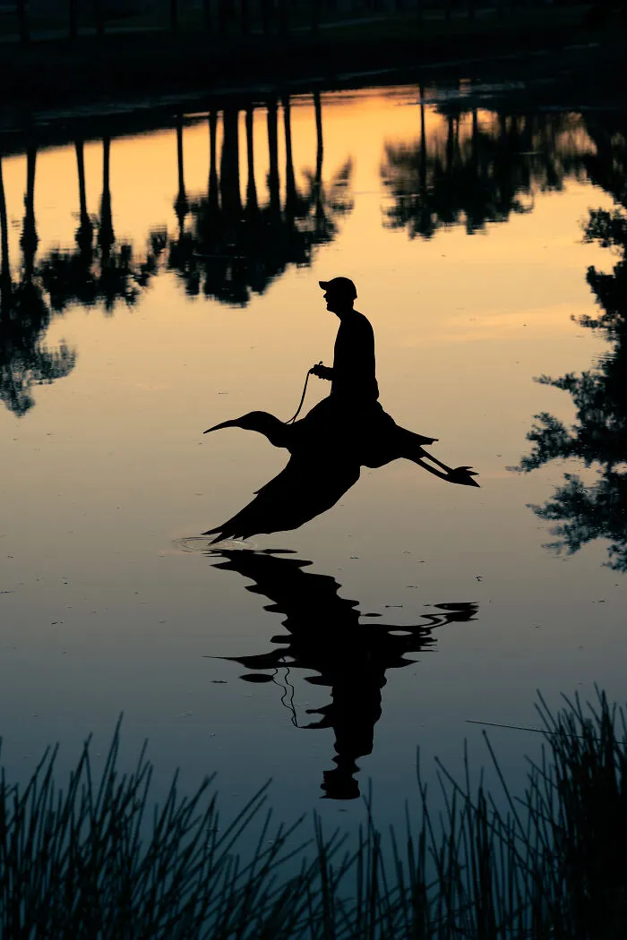 Silhouette of a person with a bird at sunset, creating a romantic mood with a selfie date cutout.