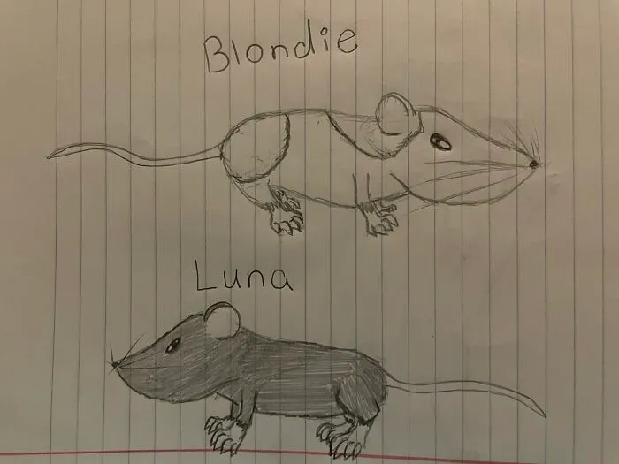 A Bit Of A Realistic Take On My Pet Mice