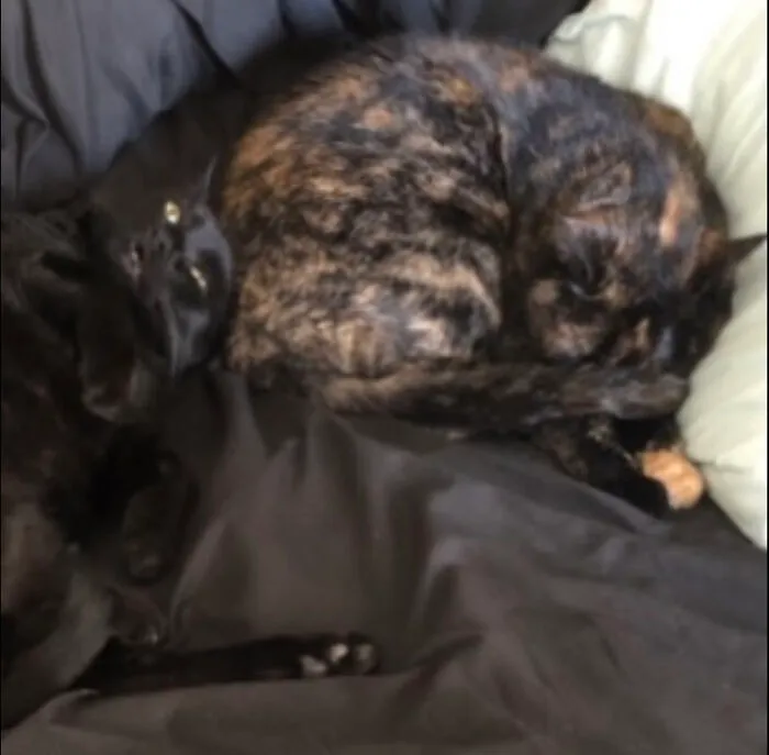 Poorer Roo And Sashee - Brother And Sister.  Major Snoozers!