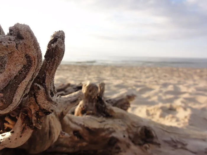 At The Baltic Sea, Poland