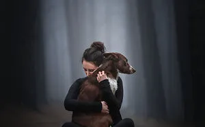 I Create Stunning Photos Of My Two Border Collies