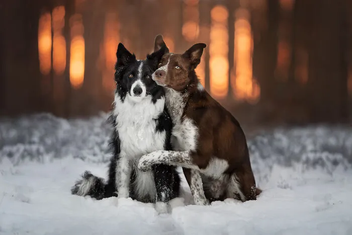 Brothers (From Another Mother... And Father)