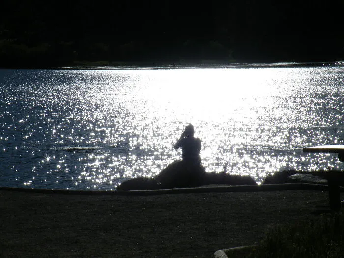 My Son At Lily Lake In Rocky Mountain National Park.