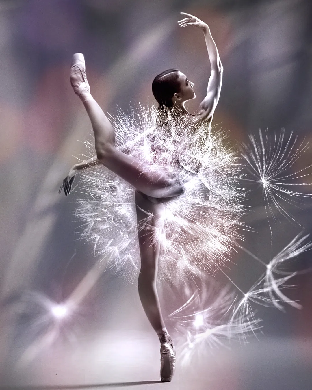Dance Of Flowers, In This Project I Combine Two Incarnations Of Grace And Beauty - Ballet And Flowers.  (7 Pics)