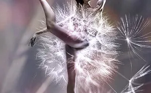 Dance Of Flowers, In This Project I Combine Two Incarnations Of Grace And Beauty - Ballet And Flowers. (7 Pics)