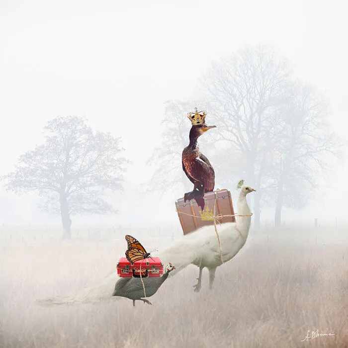 The Evacuation Of The King And His Butterfly