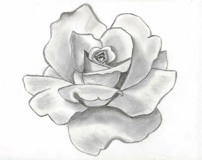 Draw On A Paper