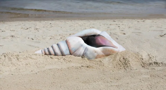 Artist Transforms Human Body Into Incredible Optical Illusions (70 pics)